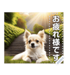 【犬】神々しいチワワ（個別スタンプ：6）