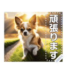 【犬】神々しいチワワ（個別スタンプ：8）