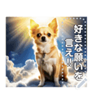 【犬】神々しいチワワ（個別スタンプ：9）