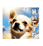【犬】神々しいチワワ（個別スタンプ：10）
