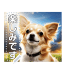 【犬】神々しいチワワ（個別スタンプ：23）