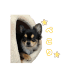 こんぶスタンプ2（個別スタンプ：13）