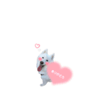 サモハスらんちゃん（個別スタンプ：5）
