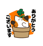 はちネコのスタンプ（個別スタンプ：6）