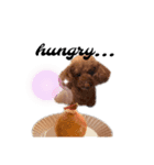 うちのぷーどる ③（個別スタンプ：4）