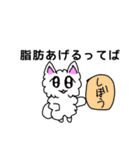 一生懸命おねだりするポメラニアンスタンプ（個別スタンプ：5）