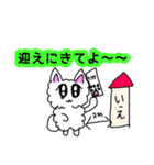 一生懸命おねだりするポメラニアンスタンプ（個別スタンプ：40）