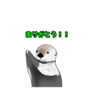 らっこがかわいいスタンプ(TRPGに興じる編)（個別スタンプ：14）