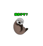 らっこがかわいいスタンプ(TRPGに興じる編)（個別スタンプ：15）
