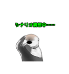 らっこがかわいいスタンプ(TRPGに興じる編)（個別スタンプ：16）