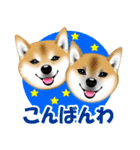 柴犬あずきなちゃんのラインスタンプだよ。（個別スタンプ：3）