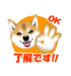 柴犬あずきなちゃんのラインスタンプだよ。（個別スタンプ：7）