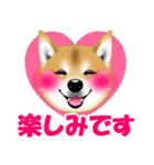 柴犬あずきなちゃんのラインスタンプだよ。（個別スタンプ：9）