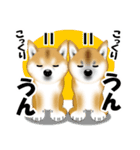 柴犬あずきなちゃんのラインスタンプだよ。（個別スタンプ：12）