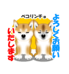 柴犬あずきなちゃんのラインスタンプだよ。（個別スタンプ：13）