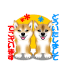 柴犬あずきなちゃんのラインスタンプだよ。（個別スタンプ：14）