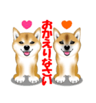 柴犬あずきなちゃんのラインスタンプだよ。（個別スタンプ：16）