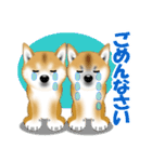 柴犬あずきなちゃんのラインスタンプだよ。（個別スタンプ：20）