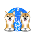 柴犬あずきなちゃんのラインスタンプだよ。（個別スタンプ：25）