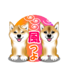 柴犬あずきなちゃんのラインスタンプだよ。（個別スタンプ：27）