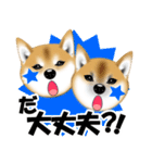 柴犬あずきなちゃんのラインスタンプだよ。（個別スタンプ：30）