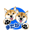 柴犬あずきなちゃんのラインスタンプだよ。（個別スタンプ：34）