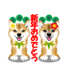 柴犬あずきなちゃんのラインスタンプだよ。（個別スタンプ：40）