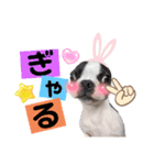 セロマニアゴンザレス（個別スタンプ：16）
