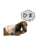 我が家の学級委員（個別スタンプ：5）
