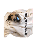 我が家の学級委員（個別スタンプ：6）