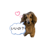 我が家の学級委員（個別スタンプ：20）