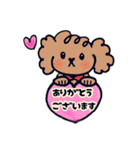 手書き風トイプー犬❤️BOY 日常・仕事（個別スタンプ：3）
