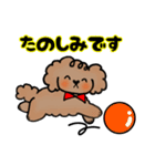 手書き風トイプー犬❤️BOY 日常・仕事（個別スタンプ：20）