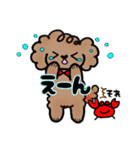手書き風トイプー犬❤️BOY 日常・仕事（個別スタンプ：23）