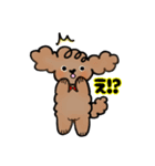 手書き風トイプー犬❤️BOY 日常・仕事（個別スタンプ：30）