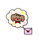 手書き風トイプー犬❤️BOY 日常・仕事（個別スタンプ：36）