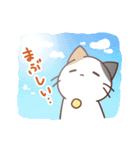 パペうさ・パペねこの日常スタンプ時々夏（個別スタンプ：25）