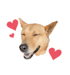 嬉々❤︎（個別スタンプ：1）