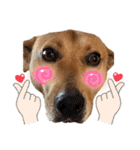 嬉々❤︎（個別スタンプ：5）