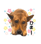 嬉々❤︎（個別スタンプ：31）