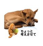 嬉々❤︎（個別スタンプ：34）