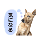 嬉々❤︎（個別スタンプ：40）