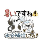 【New Ver.】シーズー犬 3『夏・長文』（個別スタンプ：17）