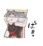 コジジ（個別スタンプ：27）