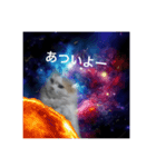 森岡家の猫達（個別スタンプ：2）