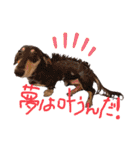 ゃぉぃの♡♡（個別スタンプ：1）
