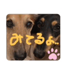 ゃぉぃの♡♡（個別スタンプ：5）