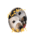ゃぉぃの♡♡（個別スタンプ：8）