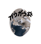 ゃぉぃの♡♡（個別スタンプ：9）