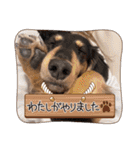 ゃぉぃの♡♡（個別スタンプ：22）